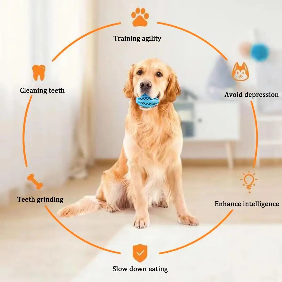 Dog Chew Snack Ball